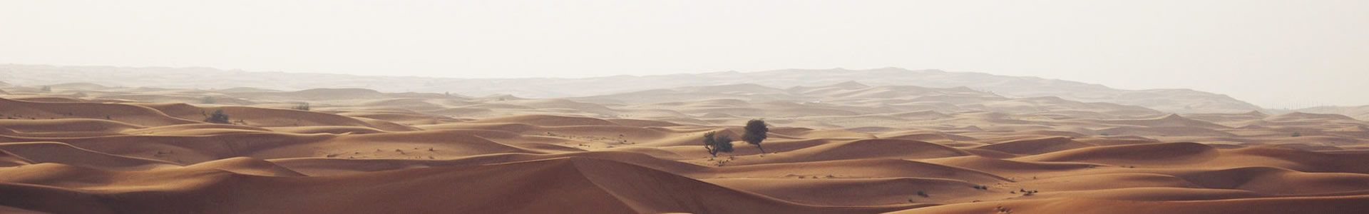 Ϸʢó޹˾